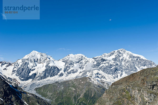 Gipfel der Königspitze  Il Gran Zebru  Monte Zebru und Ortler  Ortles  3905 m  Ortler-Alpen  Nationalpark Stilfser Joch  bei Sulden  Solda  Trentino-Südtirol  Italien  Europa