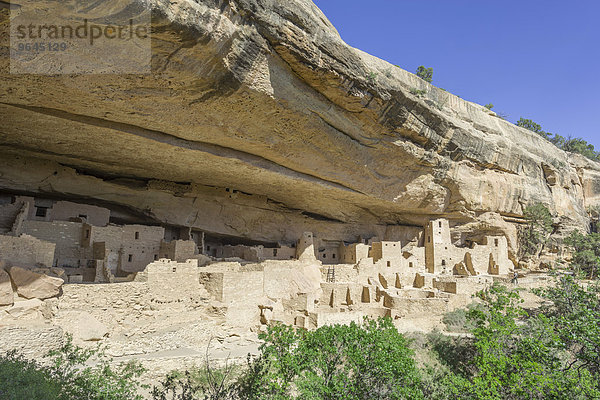 Cliff Palace Felsbehausung  Mesa-Verde-Nationalpark  Colorado  USA  Nordamerika