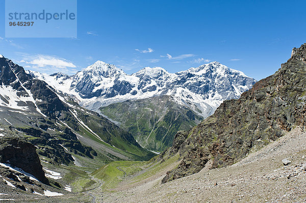 Gipfel der Königspitze  Il Gran Zebru  Monte Zebru und Ortler  Ortles  3905 m  Ortler-Alpen  Rosimtal  Valle di Rosim  Nationalpark Stilfser Joch  bei Sulden  Solda  Trentino-Südtirol  Italien  Europa