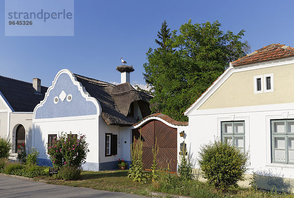 Hufnagl-Haus mit Storchennest  Apetlon  Seewinkel  Nordburgenland  Burgenland  Österreich  Europa