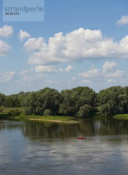 Die Elbe  bei Wittenberge  Brandenburg  Deutschland  Europa