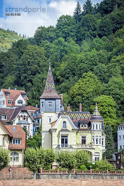 Historische Häuser am Ufer des Neckar  Heidelberg  Baden-Württemberg  Deutschland  Europa