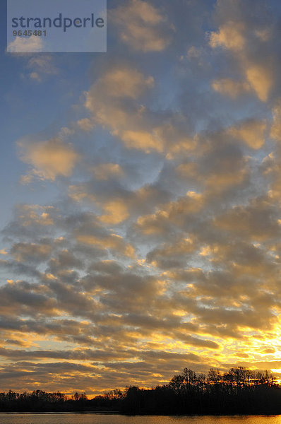 Sonnenaufgang mit Wolken am See in Menzelen  Nordrhein-Westfalen  Deutschland  Europa