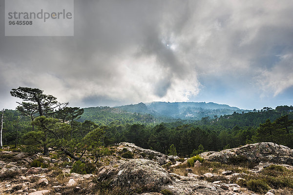 Berglandschaft mit dramatischen Wolken  Alta Rocca  l?Ospédale  Korsika  Frankreich  Europa