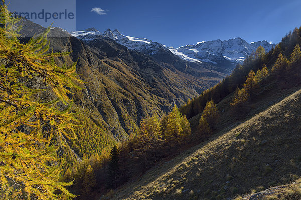 Herbst im Nationalpark Gran Paradiso  Valnontey  Piemont  Italien  Europa