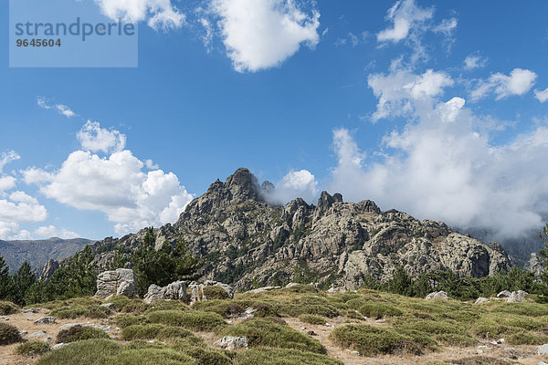 Felsige Berglandschaft  Col de Bavella  Bavella-Massiv  Korsika  Frankreich  Europa