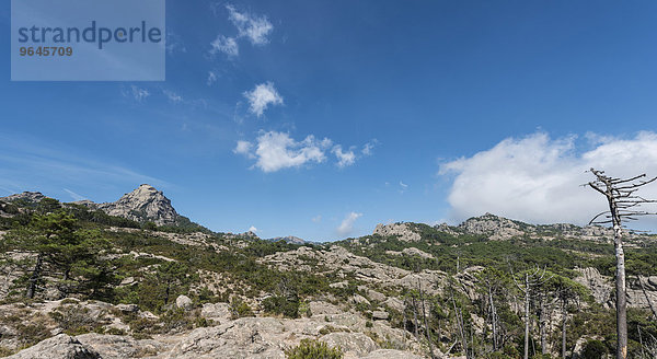 Berglandschaft  Punta di u Diamante  Alta Rocca  l?Ospédale  Korsika  Frankreich  Europa