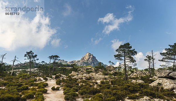 Wanderweg zum Piscia di Gallo  Berglandschaft mit Punta di u Diamante  l?Ospédale  Alta Rocca  Korsika  Frankreich  Europa