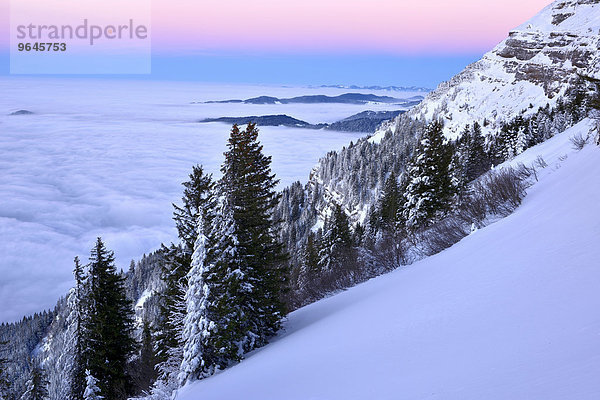 Verschneite Winterlandschaft mit Aussicht auf den Zugerberg  Rigi Kulm  Kanton Schwyz  Schweiz  Europa