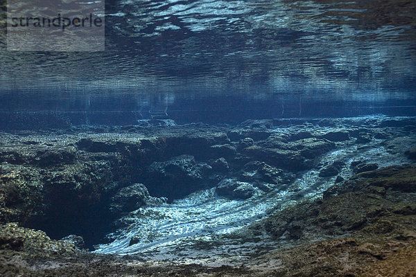 Ginnie Springs Höhle mit Süßwasserquelle am Santa Fe River  Florida  USA  Nordamerika