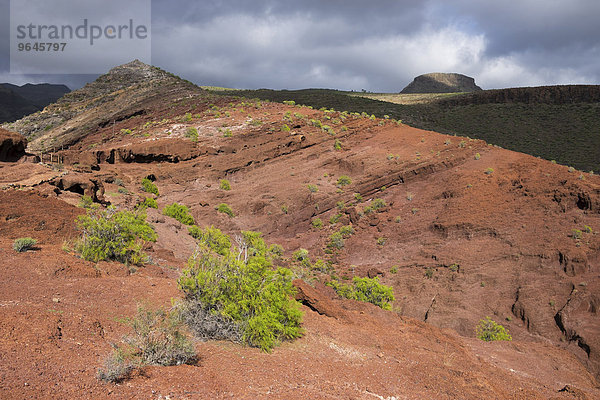 Rotes vulkanisches Gestein am Wanderweg Sendero Quise  Alajeró  La Gomera  Kanarische Inseln  Spanien  Europa