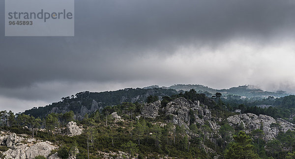 Berglandschaft mit dramatischen Wolken  Alta Rocca  l?Ospédale  Korsika  Frankreich  Europa