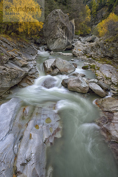 Herbst an der Grand Eyvia  Nationalpark Gran Paradiso  Valle di Cogne  Piemont  Italien  Europa