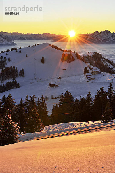 Sonnenuntergang vom Rigi Kulm mit Ausblick auf den Rigi Staffel und Pilatus  Kanton Schwyz  Schweiz  Europa