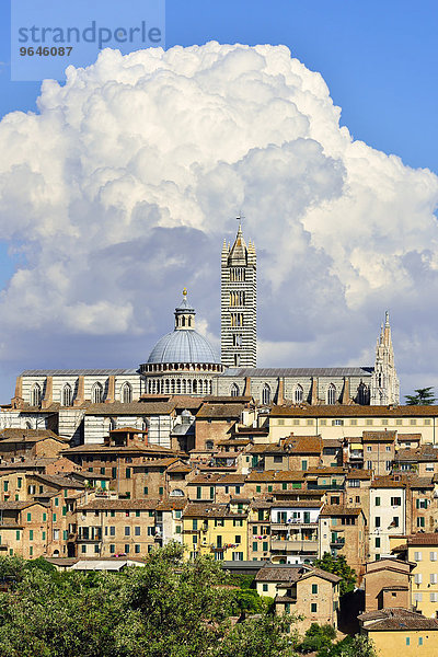 Altstadt mit dem Dom von Siena  Cattedrale di Santa Maria Assunta  Siena  Provinz Siena  Toskana  Italien  Europa
