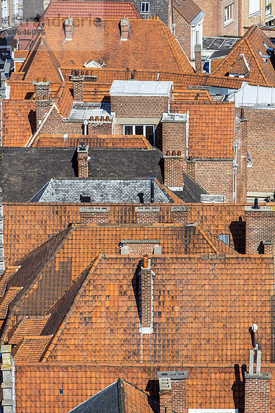 Ausblick über die Dächer der Altstadt  Tournai  Hainaut  Belgien  Europa