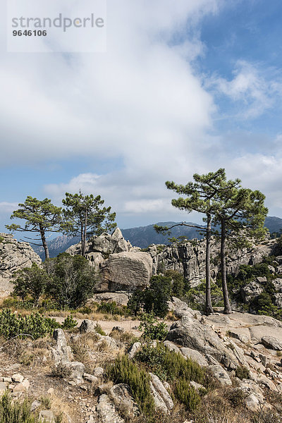 Berglandschaft  Alta Rocca  l?Ospédale  Korsika  Frankreich  Europa