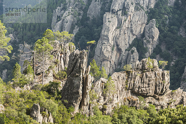 Steinformation  Berglandschaft  L?Ospédale  Alta Rocca  Korsika  Frankreich  Europa