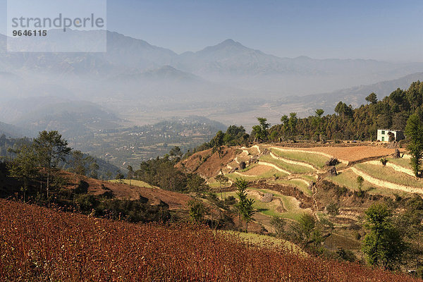 Ausblick auf Terrassenfelder und die Landschaft um Panauti  Nepal  Asien