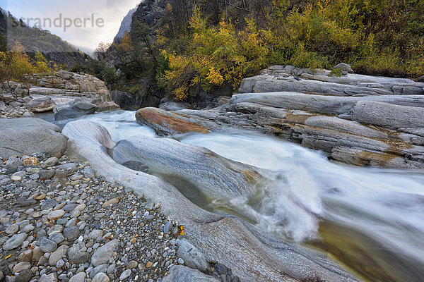 Herbst an der Grand Eyvia  Nationalpark Gran Paradiso  Valle di Cogne  Piemont  Italien  Europa