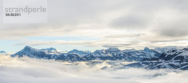 Alpenpanorama  links Kitzbühler Horn  von Hochbrixen  Tirol  Österreich  Europa