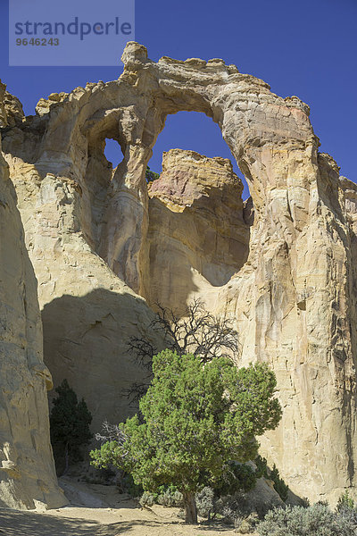Felsformation  Cottonwood Canyon Road  Utah  USA  Nordamerika