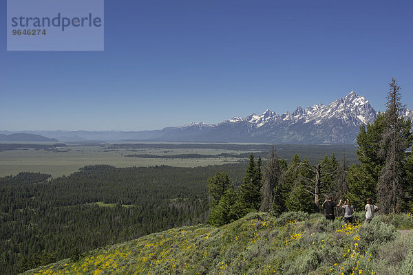 Ausblick zum Grand-Teton-Nationalpark von der Signal Mountain Road  Wyoming  USA  Nordamerika
