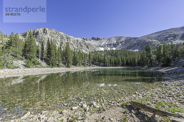 Teresa Lake  Great Basin Nationalpark  Baker  Nevada  USA  Nordamerika