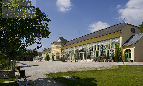 Orangerie im Esterhazyschen Schlosspark  Eisenstadt  Burgenland  Österreich  Europa