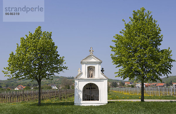 Kapelle bei Purbach am Neusiedler See  Burgenland  Österreich  Europa
