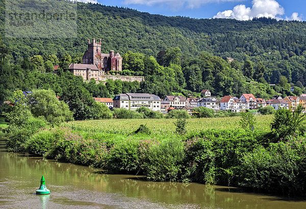 Die Mittelburg  bei Neckarsteinach  Hessen  Deutschland  Europa