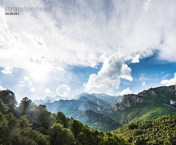 Kiefern-bewachsene felsige Landschaft mit Wolkenhimmel  Col de Bavella  Bavella-Massiv  Korsika  Frankreich  Europa