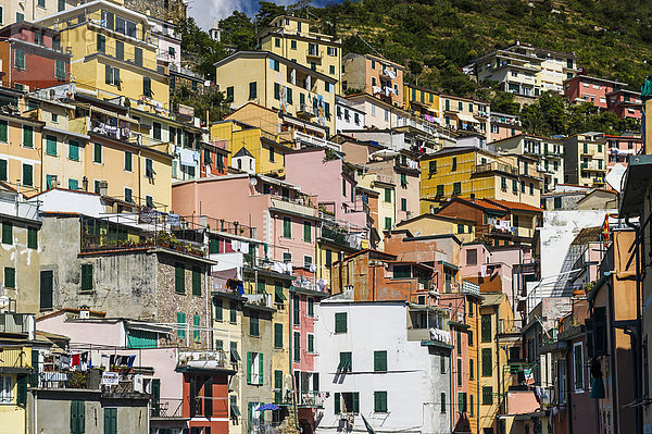 Ortsansicht  UNESCO Welterbe  Riomaggiore  Cinque Terre  Ligurien  Italien  Europa
