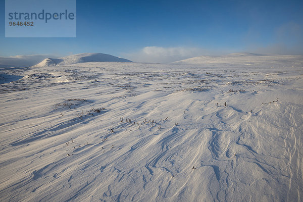 Fjell im Winter  schneebedeckte Landschaft  Dovrefjell-Sunndalsfjella-Nationalpark  Norwegen  Europa