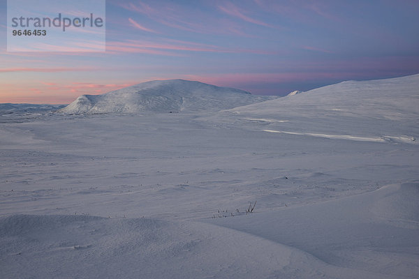 Fjell im Winter  morgendlicher Wolkenhimmel  Dovrefjell-Sunndalsfjella-Nationalpark  Norwegen  Europa