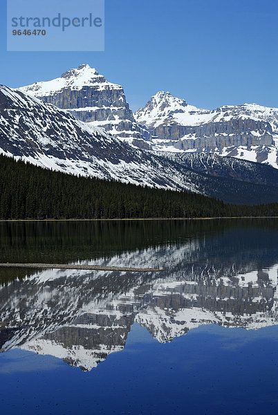 Epaulette Mountain und Kaufmann Peaks  rechts  spiegeln sich im Bergsee Waterfowl Lake  Banff-Nationalpark  Rocky Mountains  Alberta  Kanada  Nordamerika