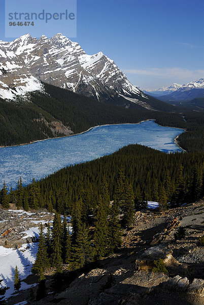 Gletschersee Peyto Lake im Frühling mit einer dünnen Eisdecke  dahinter der Gipfel des Mt. Patterson  Banff-Nationalpark  Rocky Mountains  Alberta  Kanada  Nordamerika