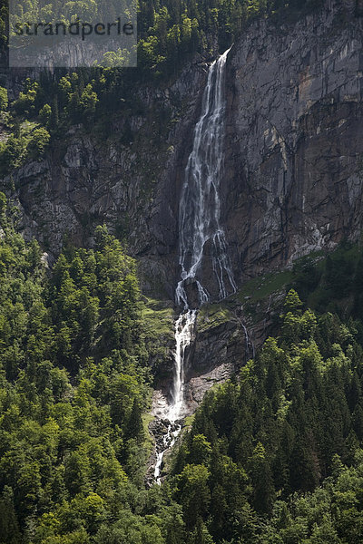 Röthbach Wasserfall  Obersee  Berchtesgaden  Bayern  Deutschland  Europa