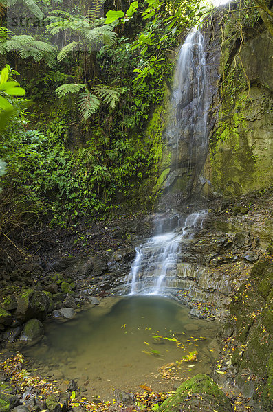 Wasserfall im Dschungel  Provinz Puntarenas  Costa Rica  Nordamerika