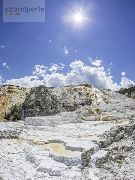 Sinterterrasse Palette Spring der Lower Terrace  Mammoth Hot Springs  Yellowstone-Nationalpark  Wyoming  USA  Nordamerika
