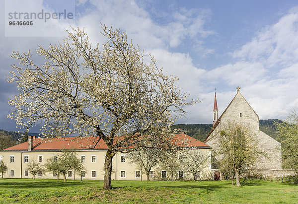 Dominikanerkirche und Dominikanerkloster  Friesach  Kärnten  Österreich  Europa