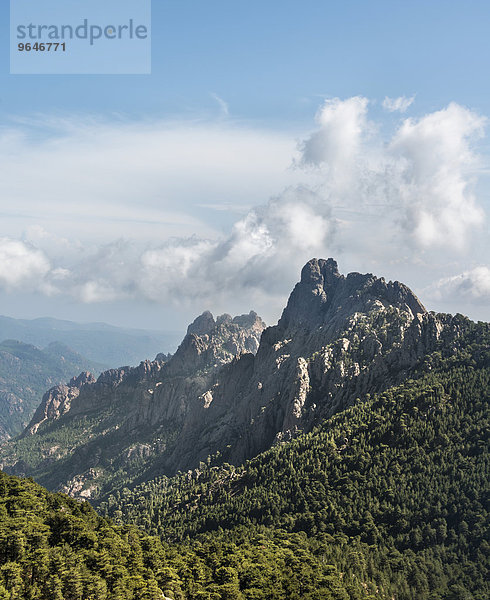 Felsige Bergspitzen umgeben von Kiefern Wald  Col de Bavella  Bavella-Massiv  Korsika  Frankreich  Europa
