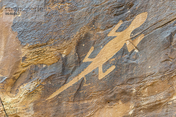 Petroglyphs an einer Felswand beim Cub Creek  Josie Ranch Road  Dinosaur National Monument  Jensen  Utah  USA  Nordamerika