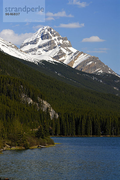 Mt. Weed und Bergsee Lower Waterfowl Lake  Banff-Nationalpark  Rocky Mountains  Alberta  Kanada  Nordamerika