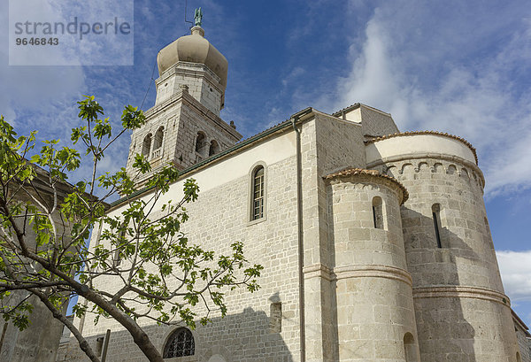 Kathedrale  auch Kirche der Mariä Himmelfahrt  Krk  Primorje-Gorski Kotar  Kroatien  Europa