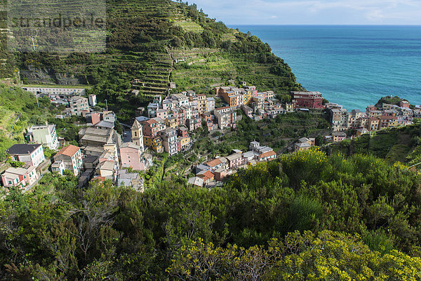 Fischerdorf Manarola  Cinque Terre  UNESCO-Weltkulturerbe  Italienische Riviera  Ligurien  Levante  Italien  Europa