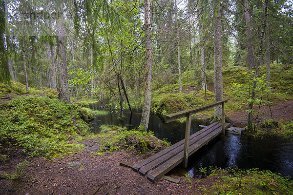 Holzsteg  Nationalpark Tiveden  Västra Götalands län  Götaland  Schweden  Europa