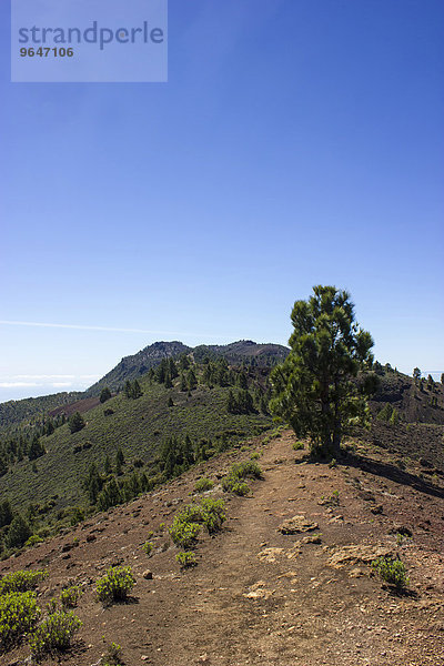'An der ''Ruta de los Volcanes''  Wanderweg  Vulkanroute  Naturpark Cumbre Vieja  La Palma  Kanarische Inseln  Spanien  Europa'
