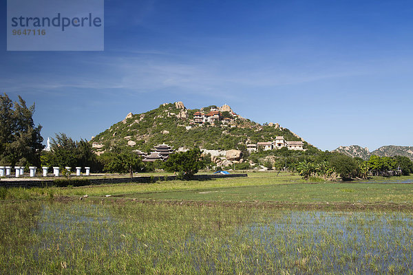 Reisfeld im bergigen Hinterland von Ninh Thuan  Vietnam  Asien