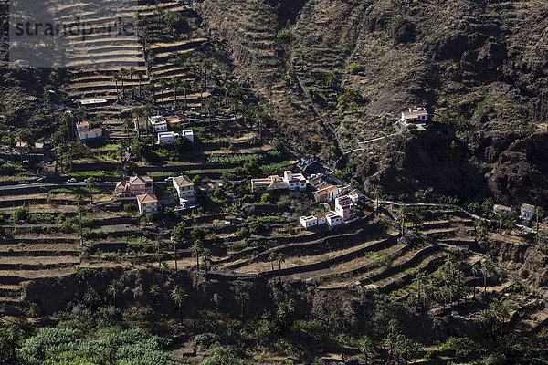 Ausblick vom Mirador Cesar Manrique auf Terrassenfelder und Häuser von Los Reyes  Valle Gran Rey  La Gomera  Kanarische Inseln  Spanien  Europa